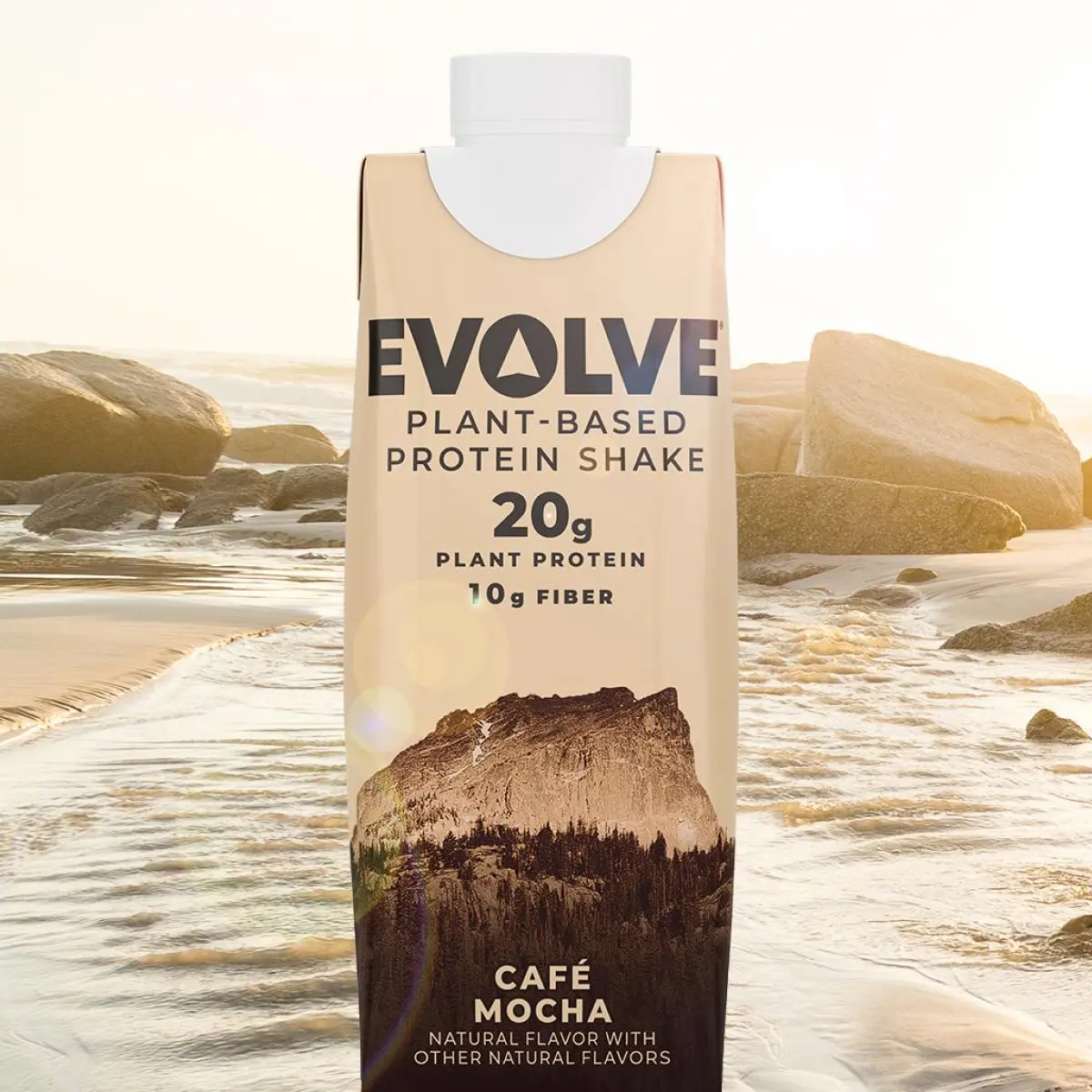 Evolve Caf Mocha Plant Based Protein Shake reviews ratings & information -  Bev Rank